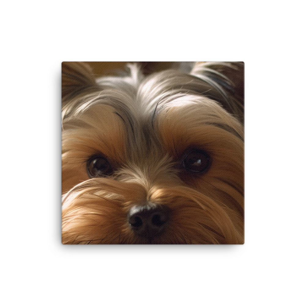 Yorkie at Home canvas - Posterfy.AI