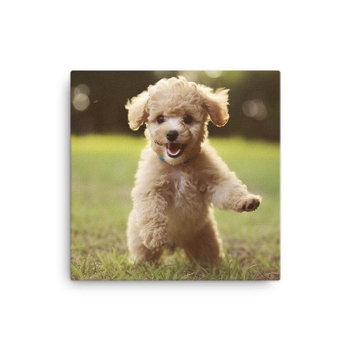 Playful Poodle Pup canvas - Posterfy.AI