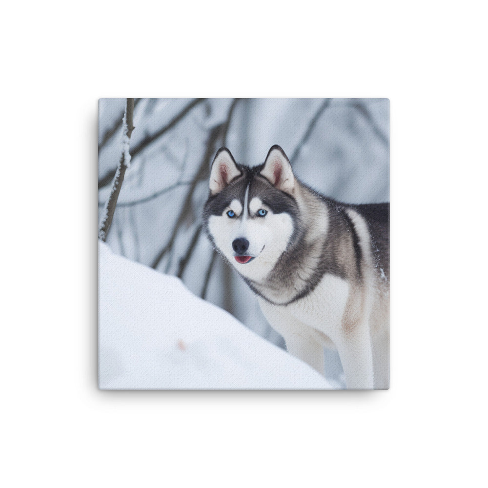 Siberian Husky in a snowy environment canvas - Posterfy.AI