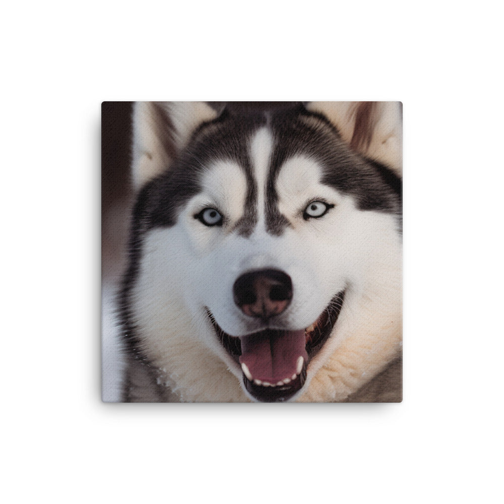 Siberian Husky with its mouth open canvas - Posterfy.AI