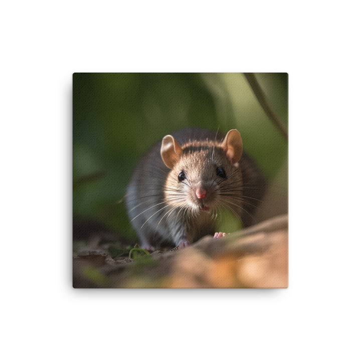Cute Brown Rat in its Habitat canvas - Posterfy.AI