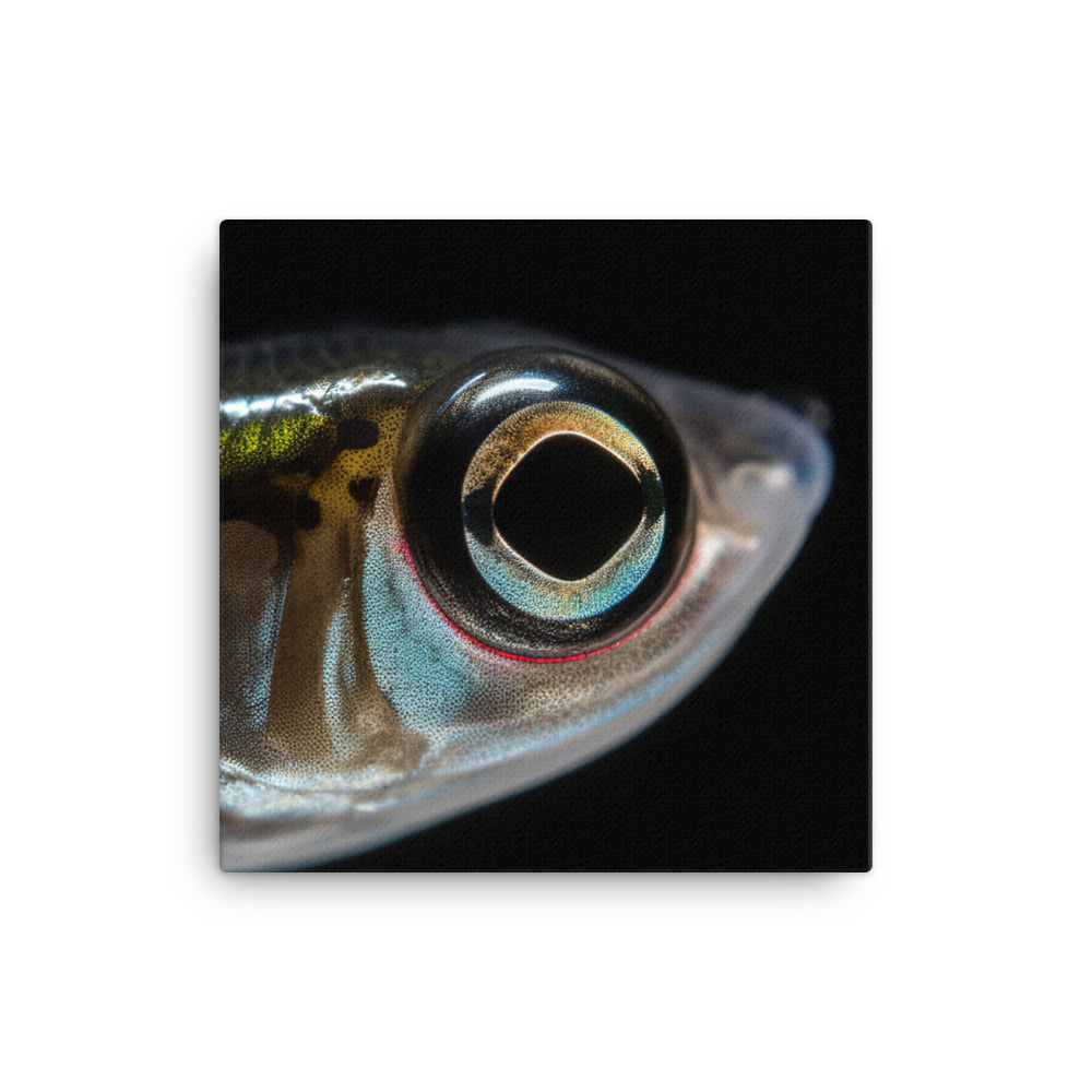 Close-Up of Majestic Zebrafish canvas - Posterfy.AI