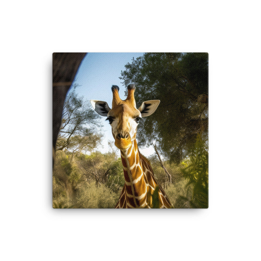 Curious Giraffe Peeking Through Trees canvas - Posterfy.AI