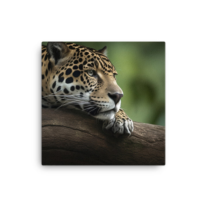 Graceful Jaguar Perched on a Tree Branch canvas - Posterfy.AI