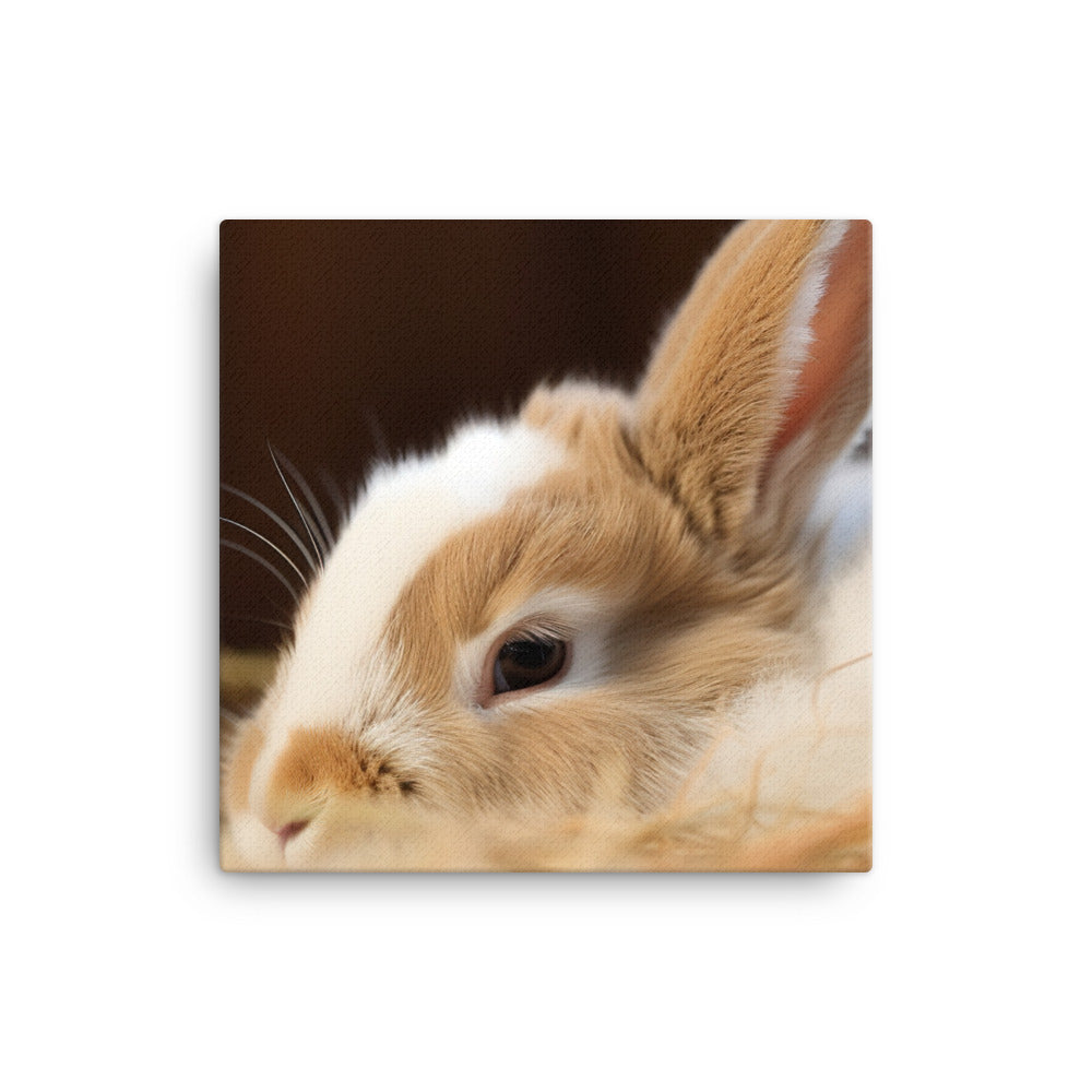 Mini Rex Bunny - Snuggled up for a Nap canvas - Posterfy.AI