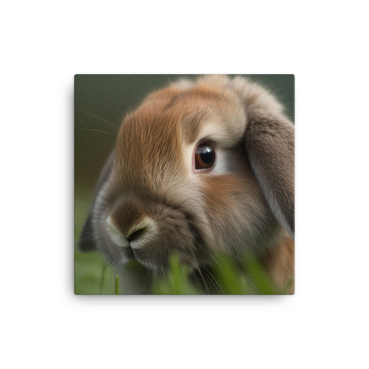 Holland Lop - Adorable and cuddly bunny in the grass canvas - Posterfy.AI