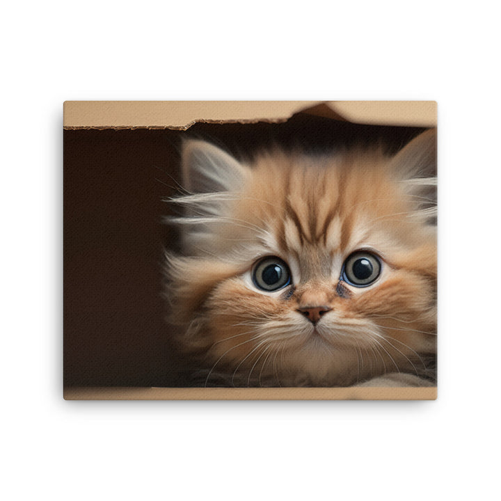 A fluffy kitten peering curiously out of a small cardboard box canvas - Posterfy.AI