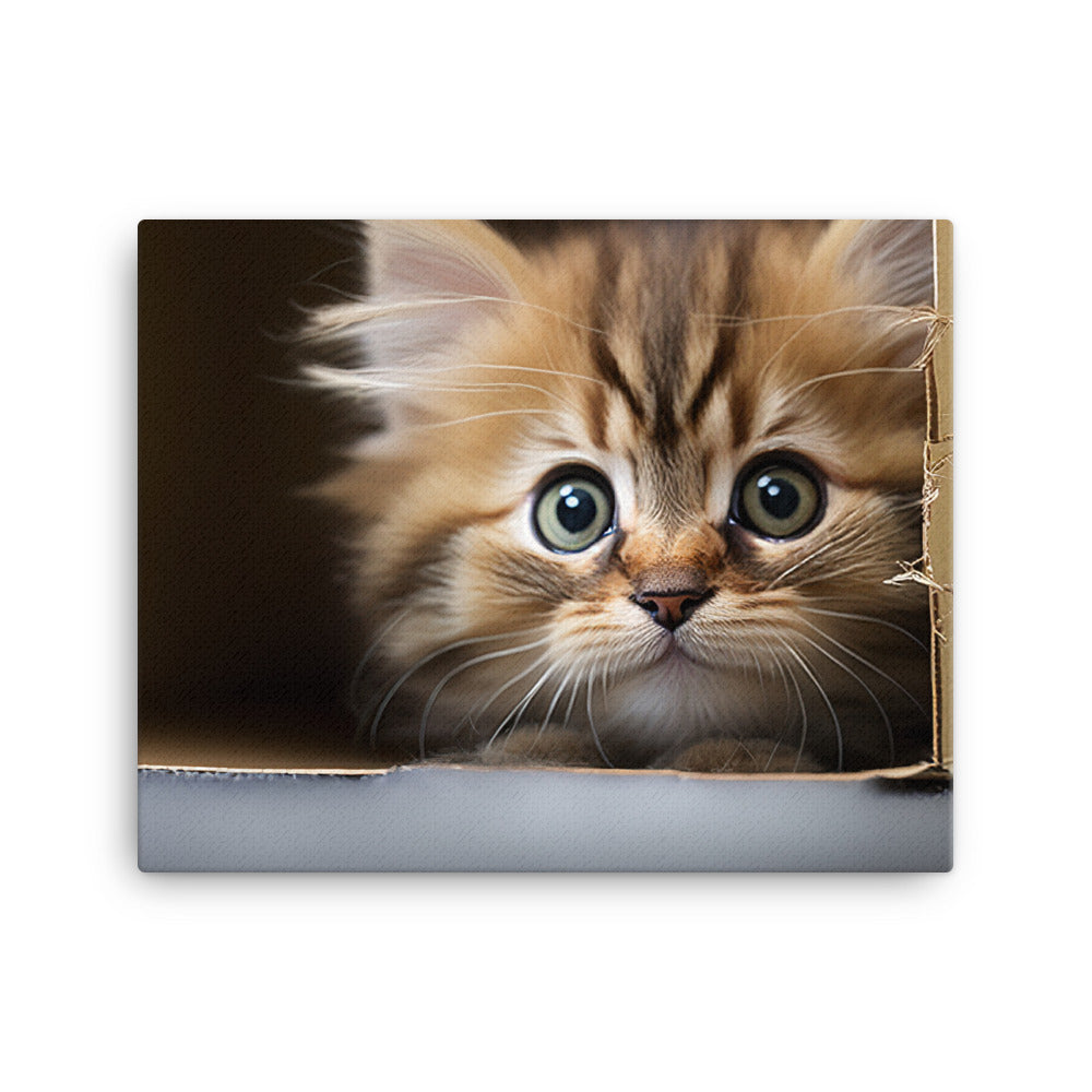 A fluffy kitten peering curiously out of a small cardboard box canvas - Posterfy.AI