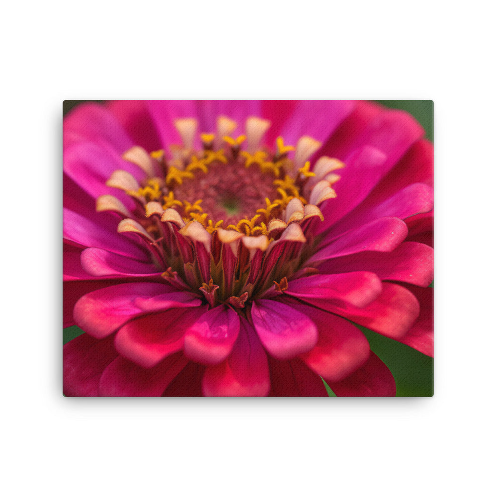 Vibrant Zinnias in Full Bloom canvas - Posterfy.AI