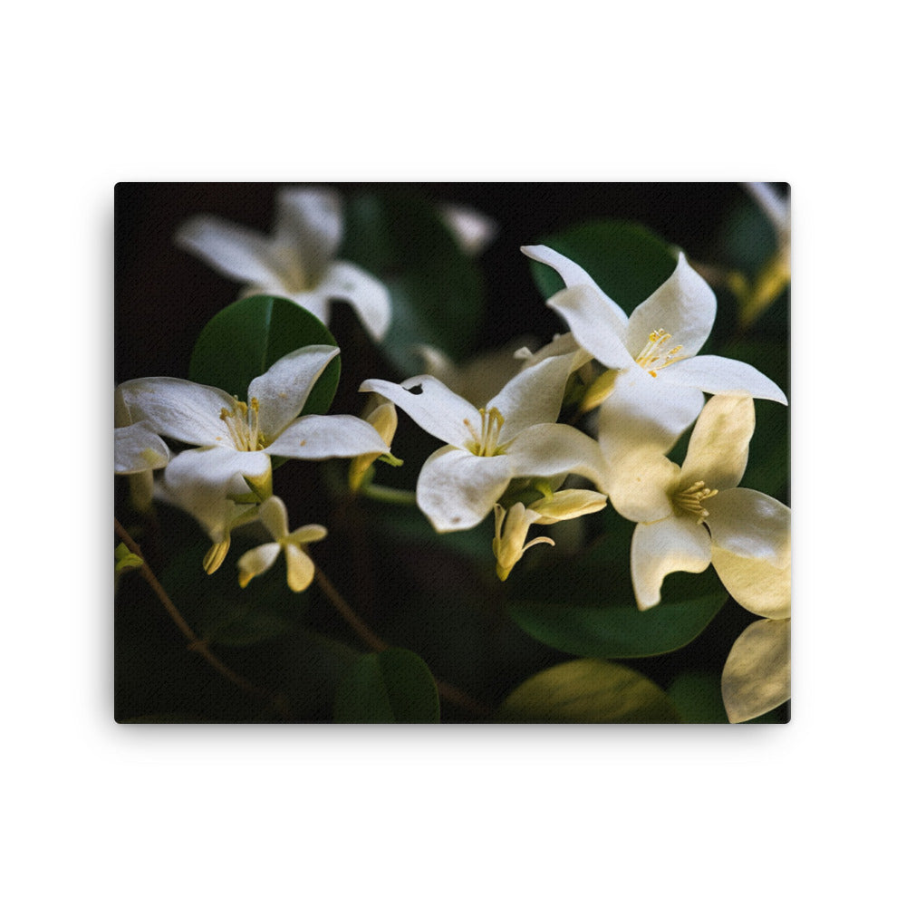 The Elegance of Jasmine Flowers at Night canvas - Posterfy.AI