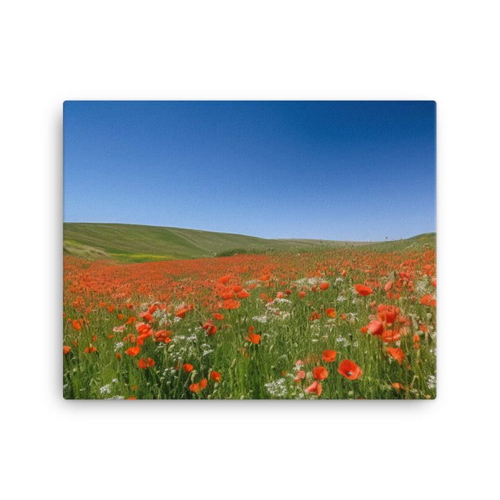 Vibrant Poppy blooms against a blue sky canvas - Posterfy.AI