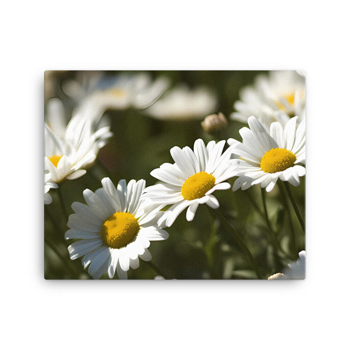 Dazzling Daisies canvas - Posterfy.AI