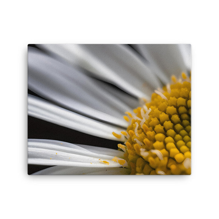 Daisy Petals canvas - Posterfy.AI