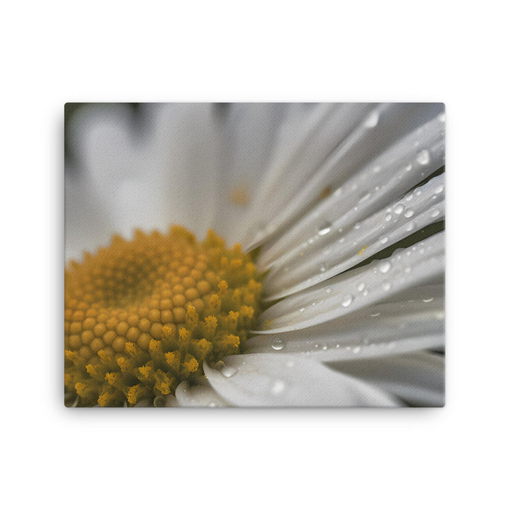 Daisy Petals canvas - Posterfy.AI