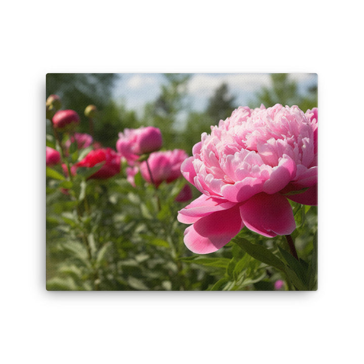 Peony Garden in Full Bloom canvas - Posterfy.AI