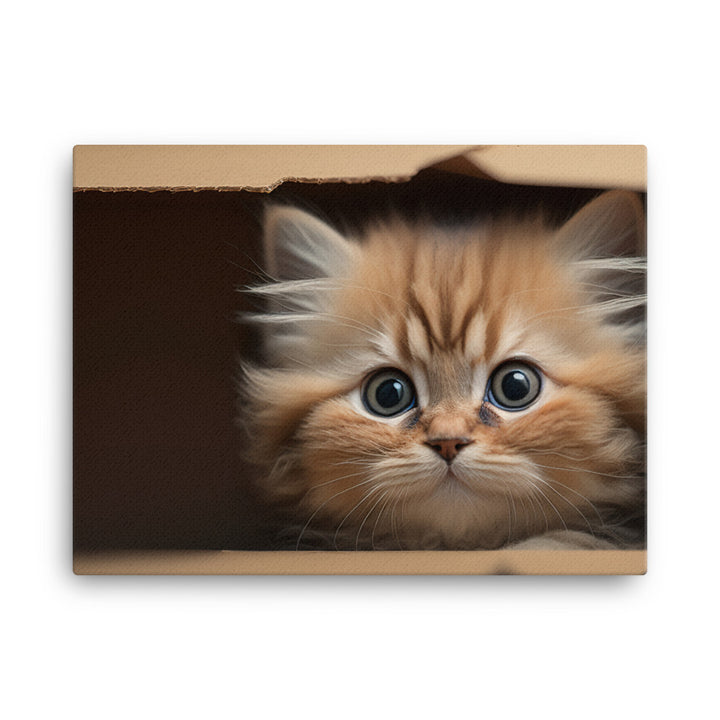 A fluffy kitten peering curiously out of a small cardboard box canvas - Posterfy.AI