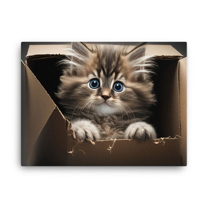 A fluffy kitten peering curiously out of a small cardboard box canvas - Posterfy.AI