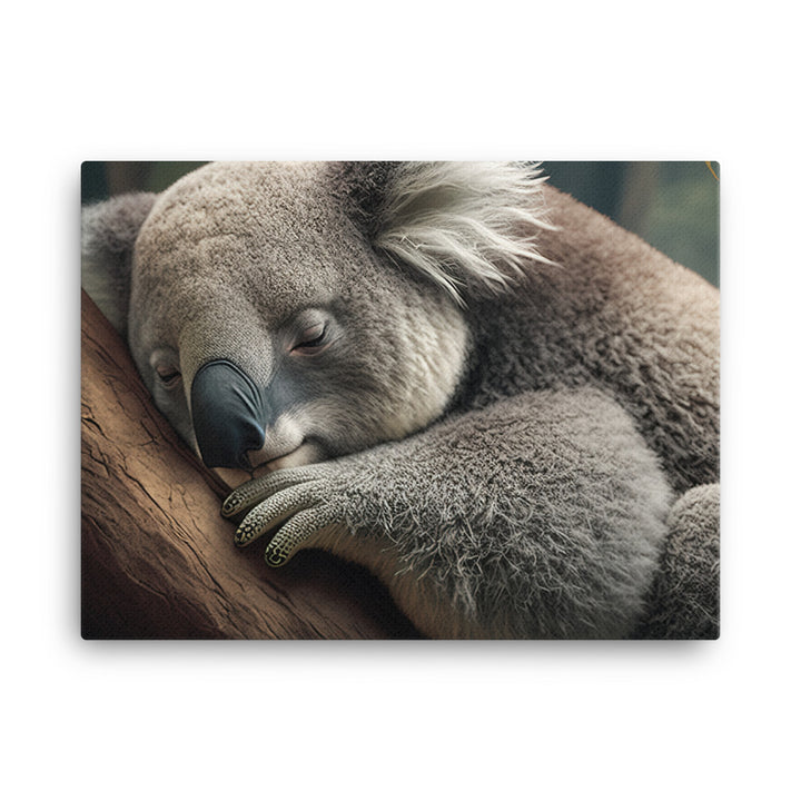 A sleepy koala perched on a tree limb canvas - Posterfy.AI