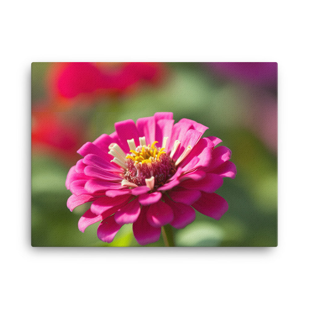 Vibrant Zinnias in Full Bloom canvas - Posterfy.AI