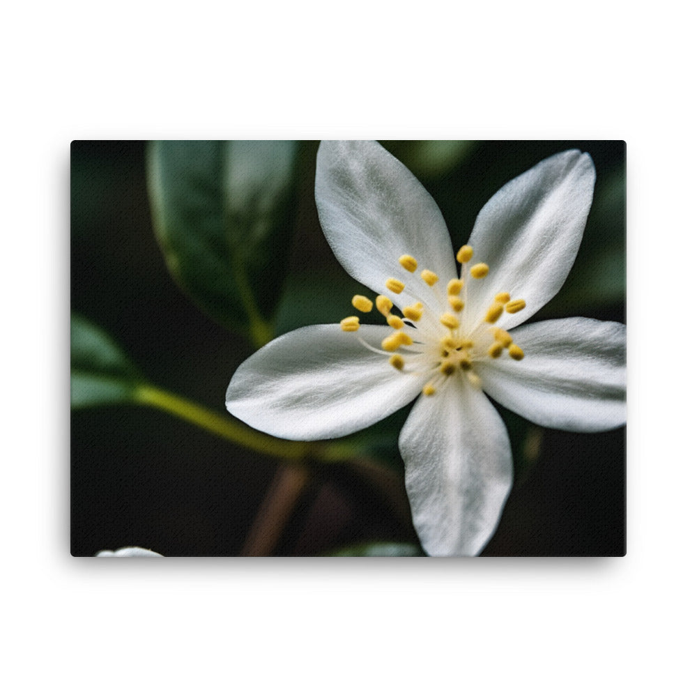 The Intricate Details of Jasmine Flowers canvas - Posterfy.AI