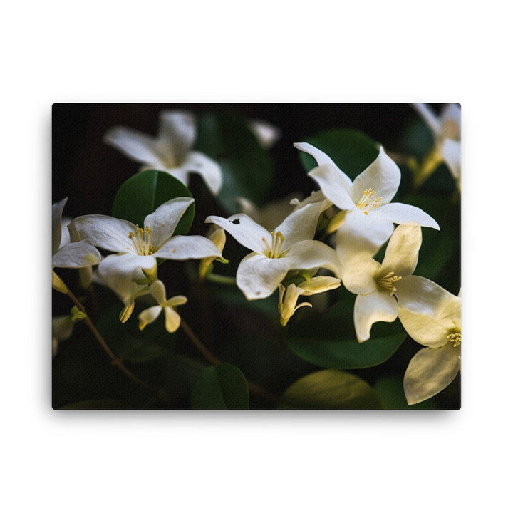 The Elegance of Jasmine Flowers at Night canvas - Posterfy.AI