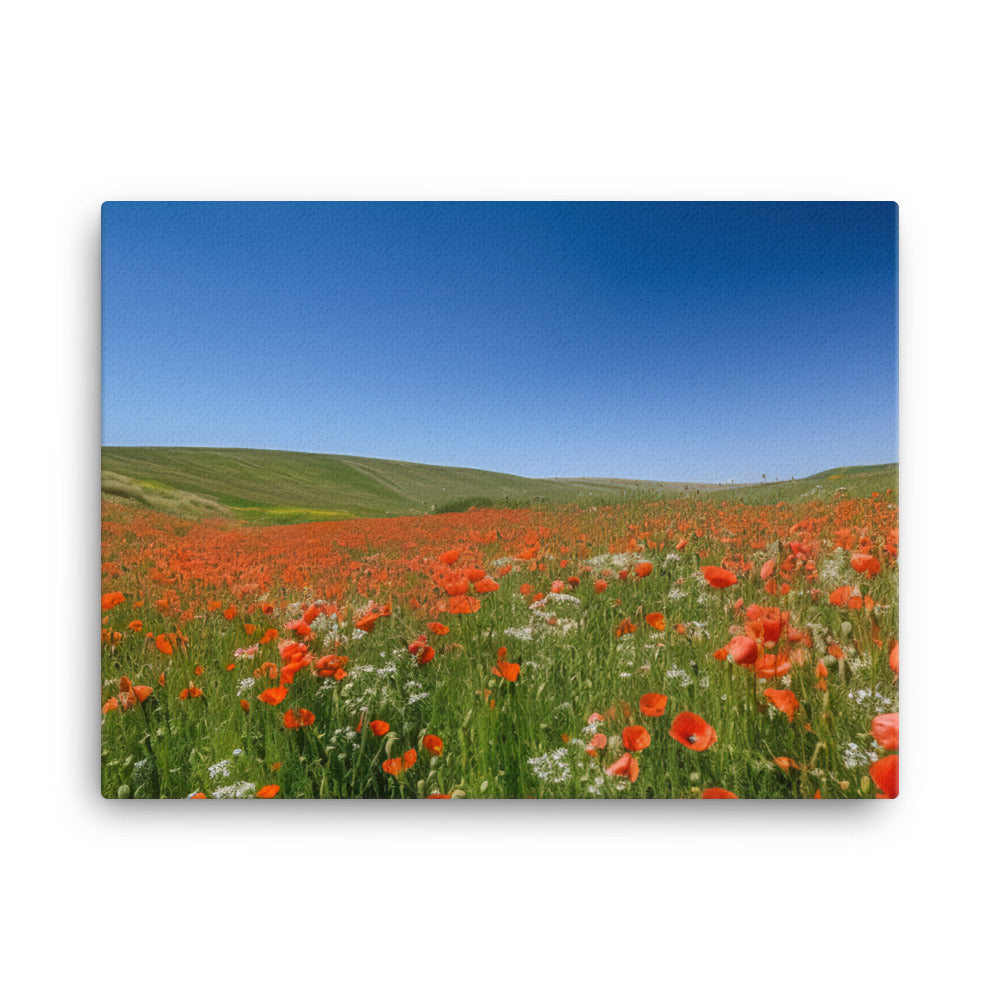 Vibrant Poppy blooms against a blue sky canvas - Posterfy.AI