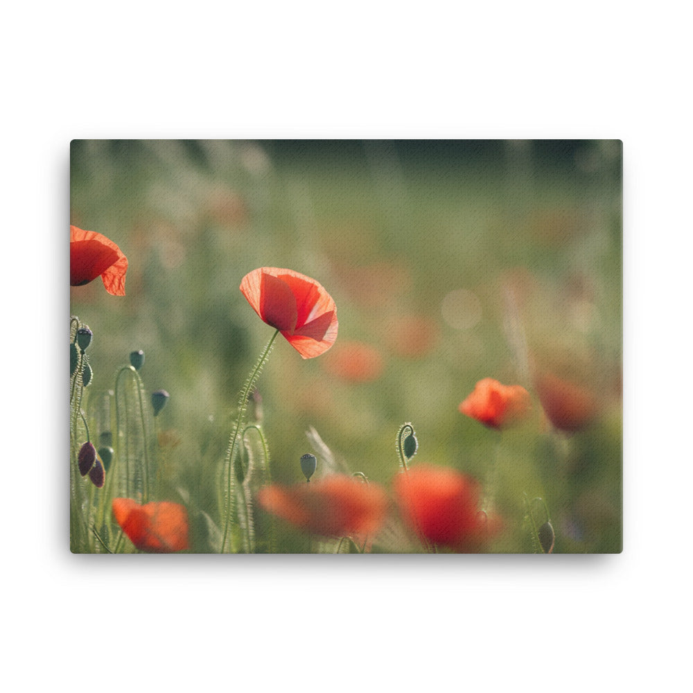 Capturing the beauty of Poppy fields at sunrise canvas - Posterfy.AI