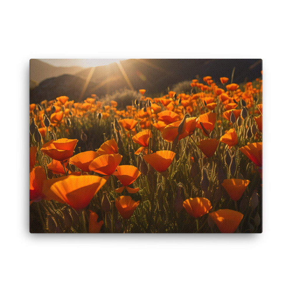 Capturing Poppy blooms in the golden hour canvas - Posterfy.AI