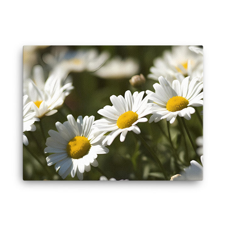 Dazzling Daisies canvas - Posterfy.AI