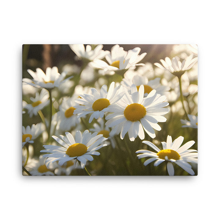 Dazzling Daisies canvas - Posterfy.AI