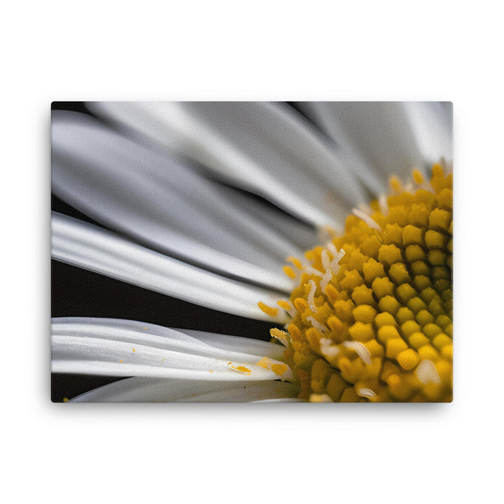 Daisy Petals canvas - Posterfy.AI