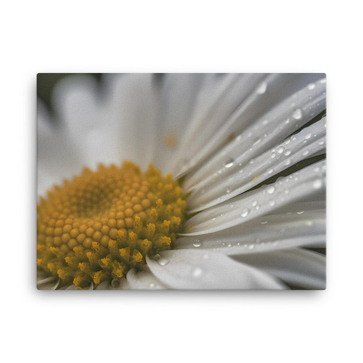 Daisy Petals canvas - Posterfy.AI