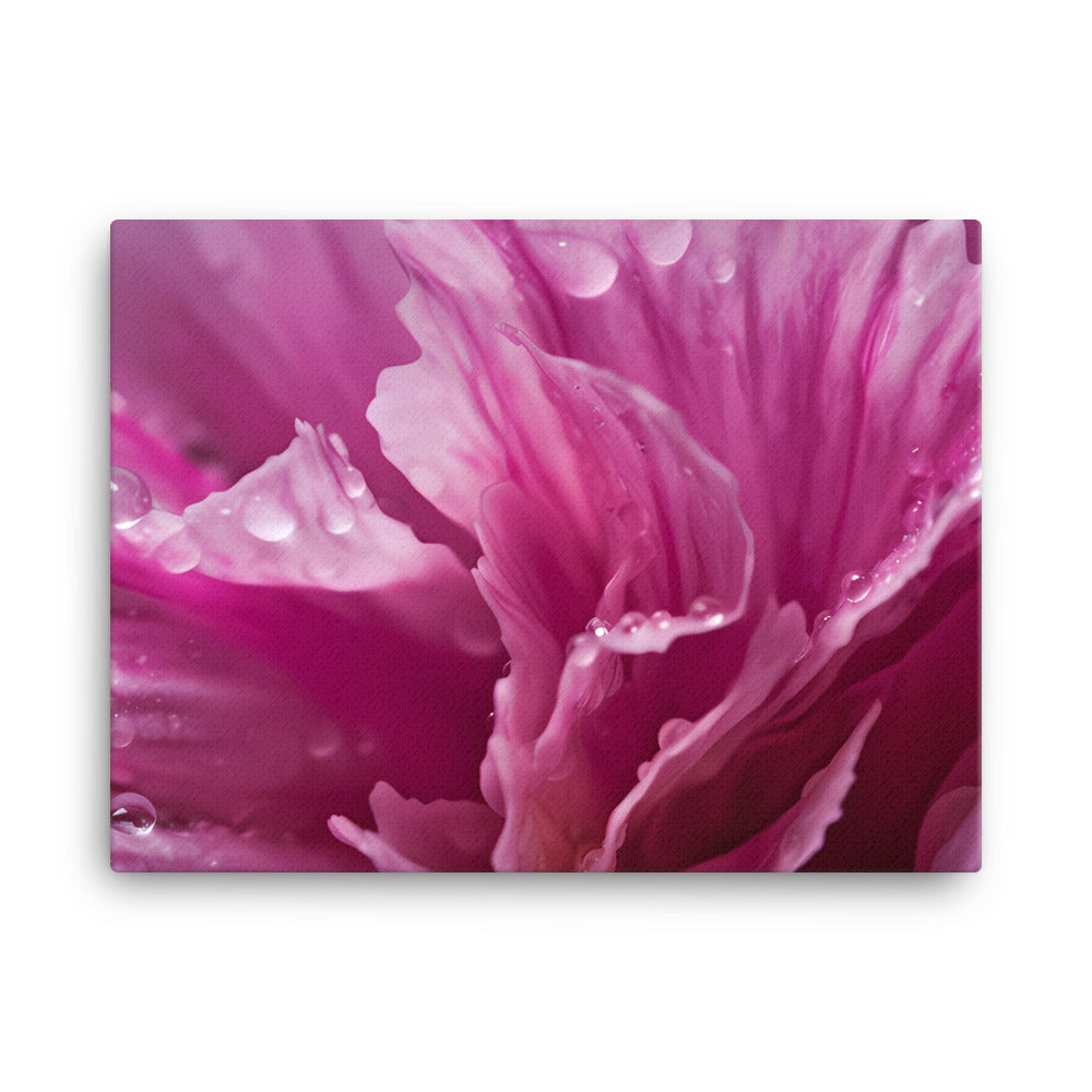 Carnations in Macro canvas - Posterfy.AI
