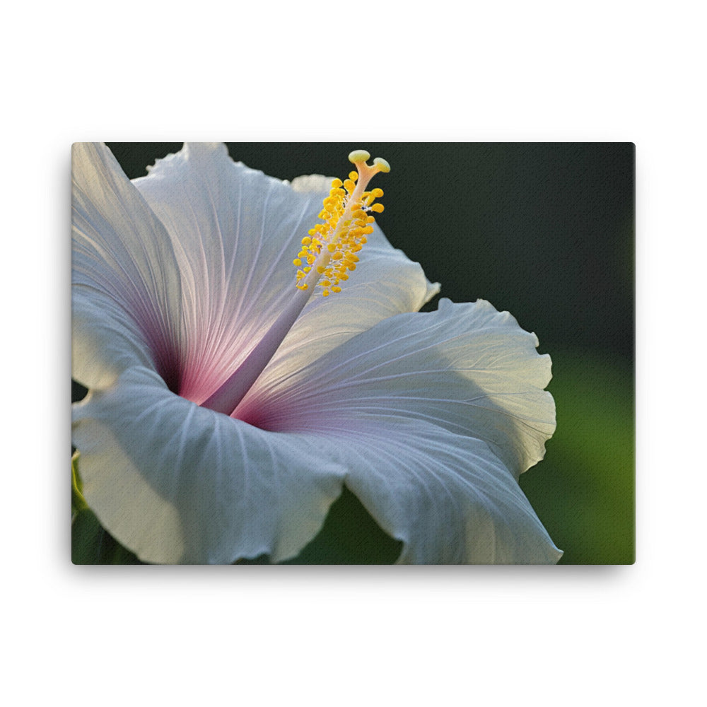 Hibiscus in the Morning Light canvas - Posterfy.AI