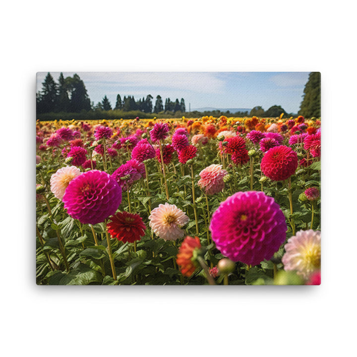 Dahlia Field in Bloom canvas - Posterfy.AI