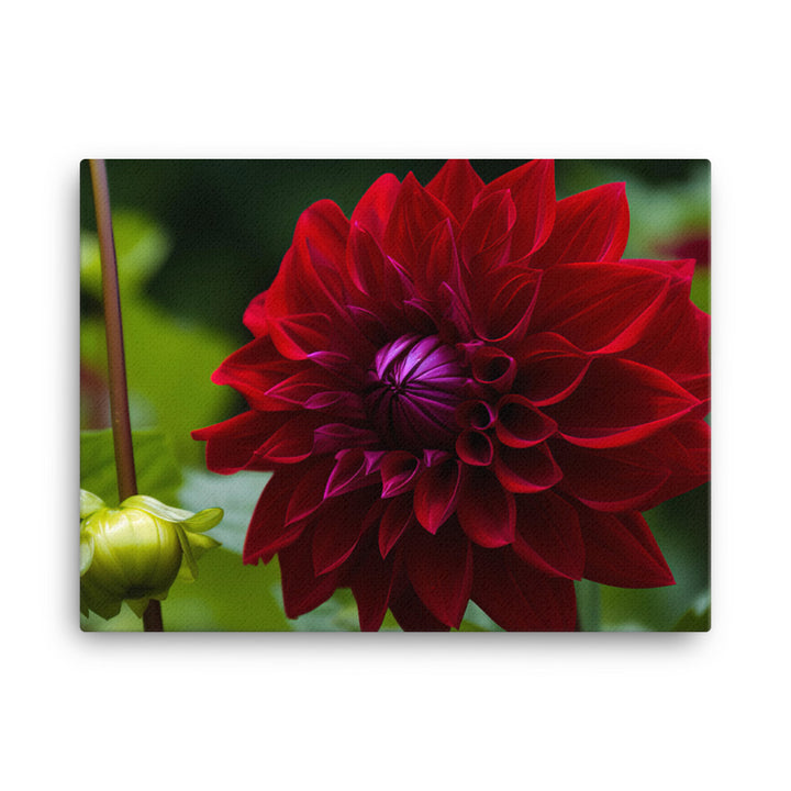 Crimson Dahlia in the Garden canvas - Posterfy.AI