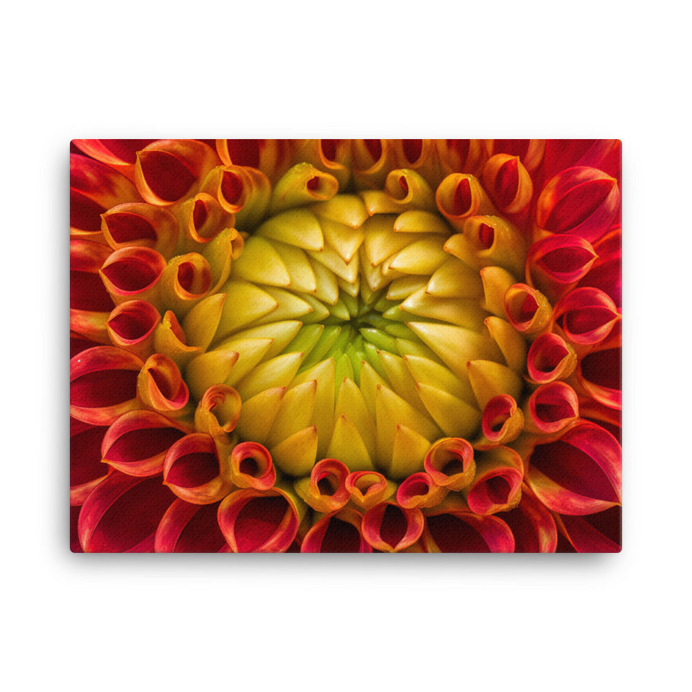 Close-Up of Dahlia Center canvas - Posterfy.AI