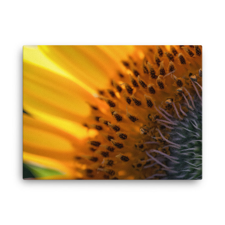 Up Close and Personal with Sunflowers canvas - Posterfy.AI