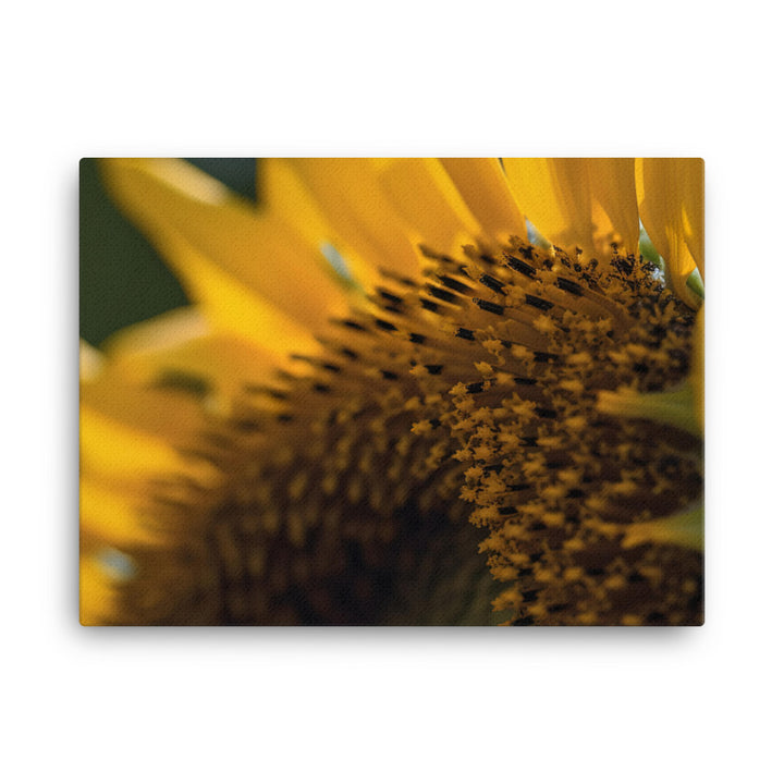 Up Close and Personal with Sunflowers canvas - Posterfy.AI