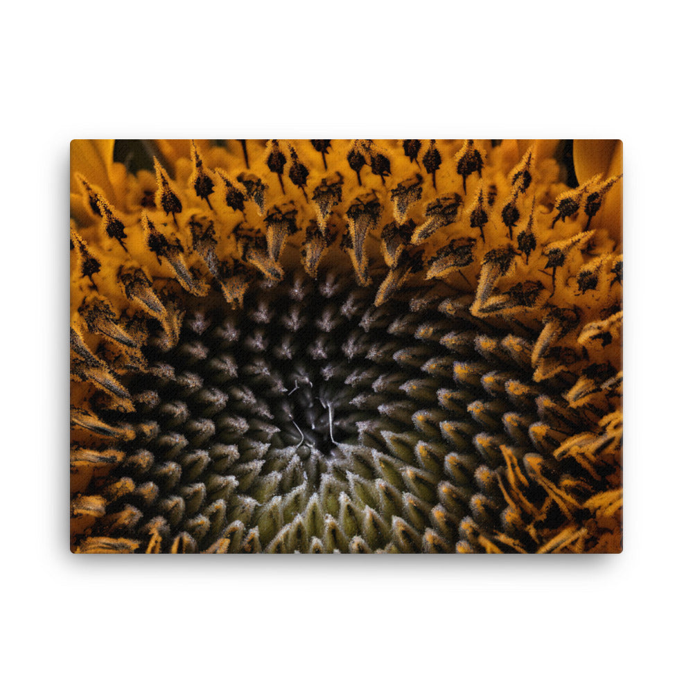 Sunflower Macro canvas - Posterfy.AI