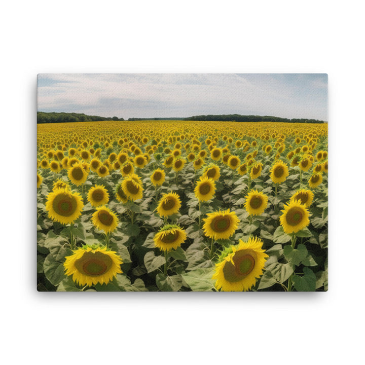 Sunflower Fields Forever canvas - Posterfy.AI