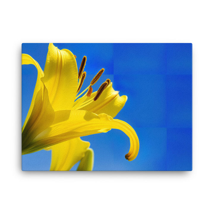 Yellow Lily Against the Sky canvas - Posterfy.AI
