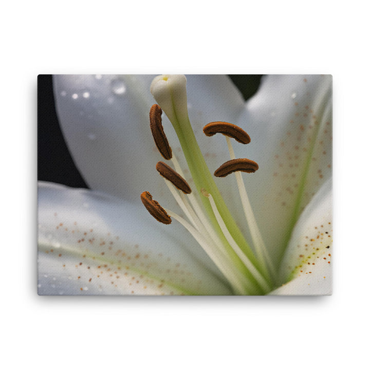 White Lily Close-Up canvas - Posterfy.AI