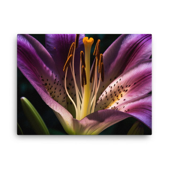 Purple Lily at Dawn canvas - Posterfy.AI