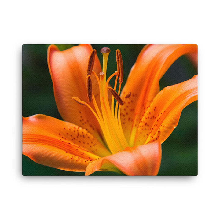 Orange Lily in the Garden canvas - Posterfy.AI