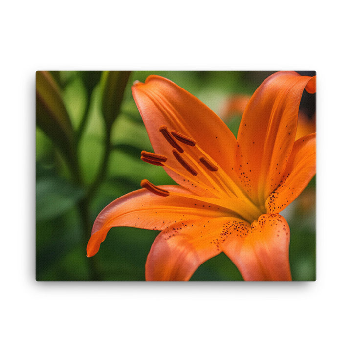 Orange Lily in the Garden canvas - Posterfy.AI