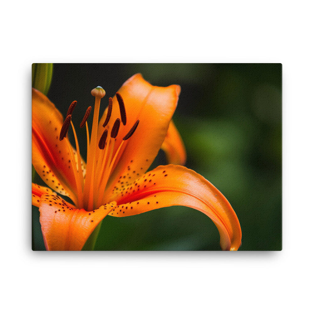 Orange Lily in the Garden canvas - Posterfy.AI