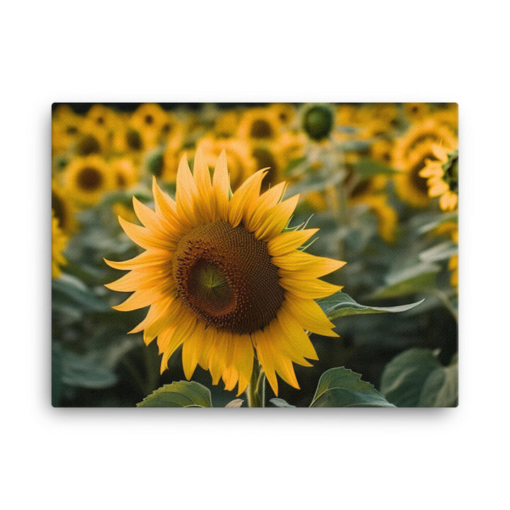 Sunflowers in the Sun canvas - Posterfy.AI