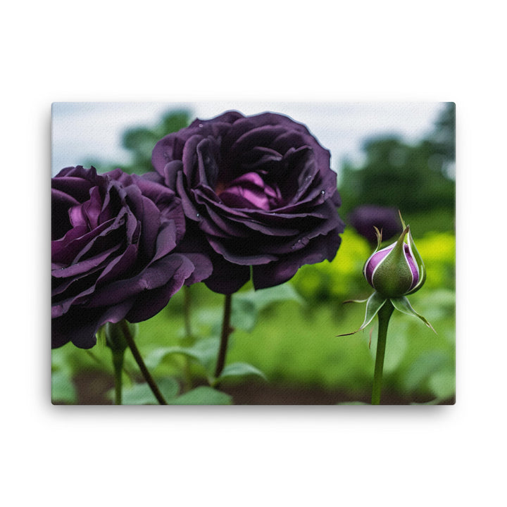 Mysterious Black Roses canvas - Posterfy.AI