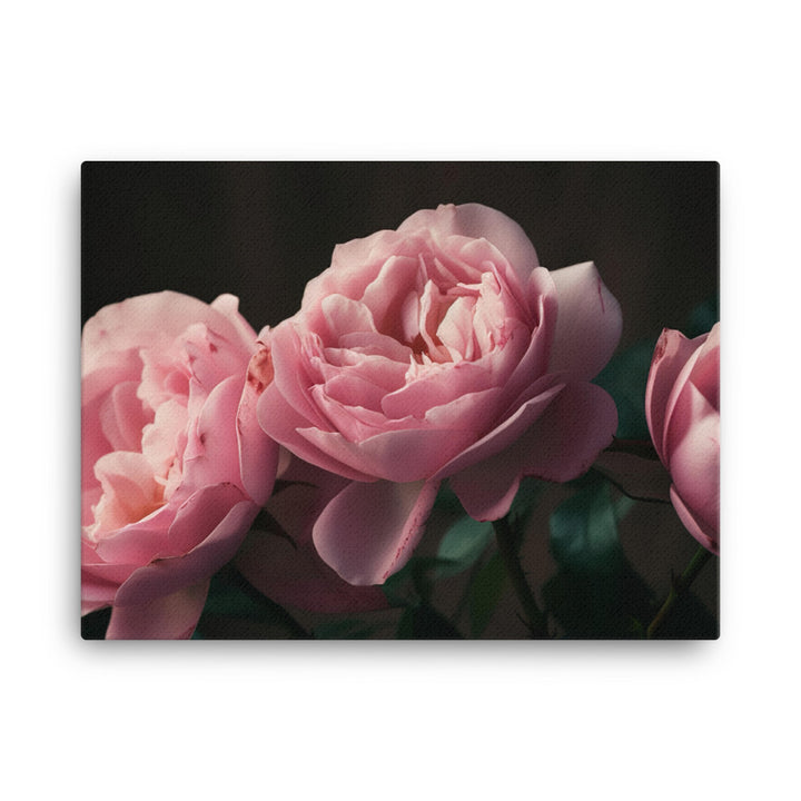 Blushing Pink Roses canvas - Posterfy.AI